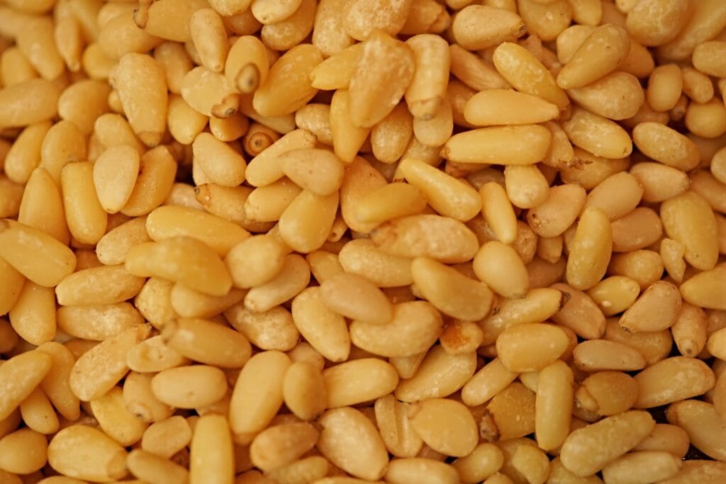 raw pine nuts